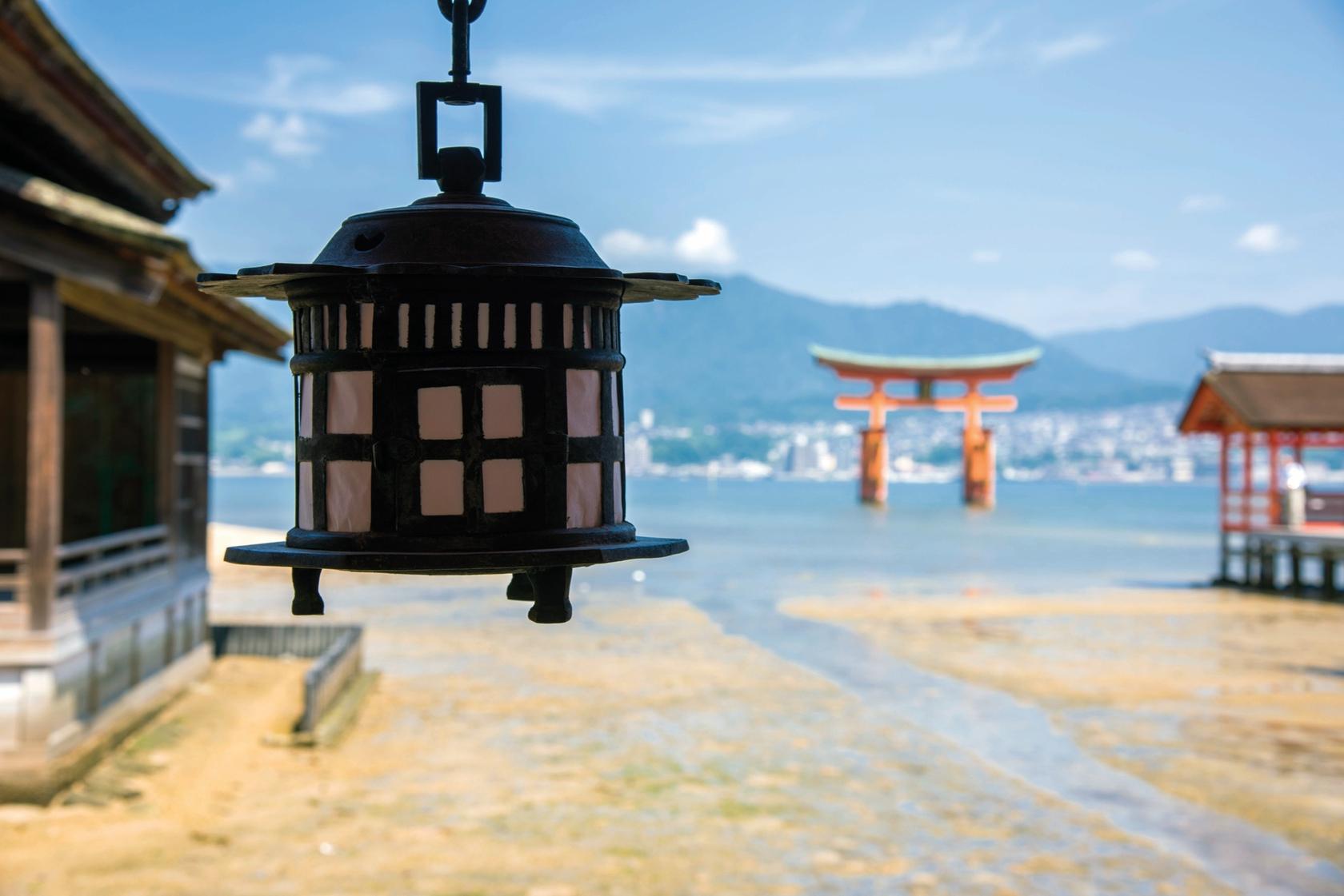 身边学生科学作文