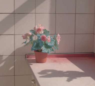 我与钢琴的作文