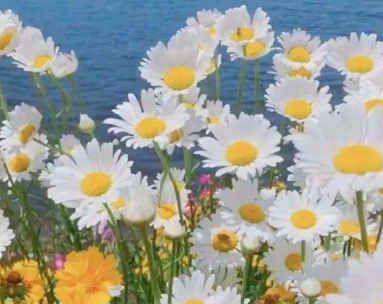 由什么引起的回忆学生作文