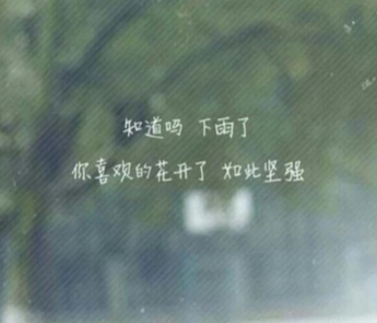 永远的偶像作文