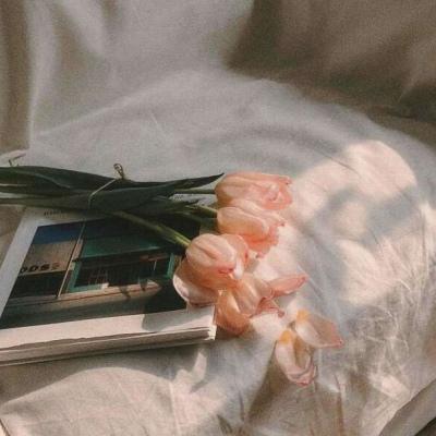 学游泳的优秀作文550字