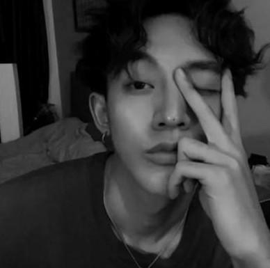 动物森林数学日记作文