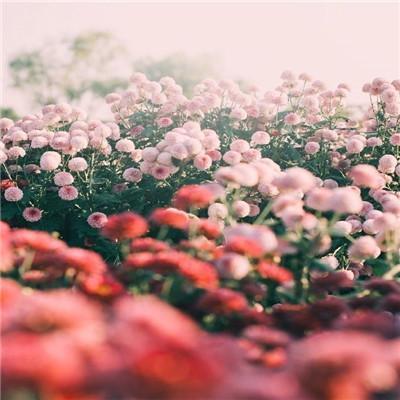 走进新时代作文