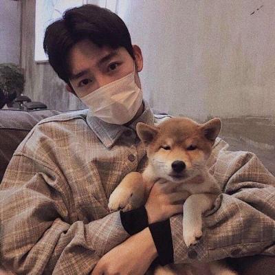 会飞的房子作文