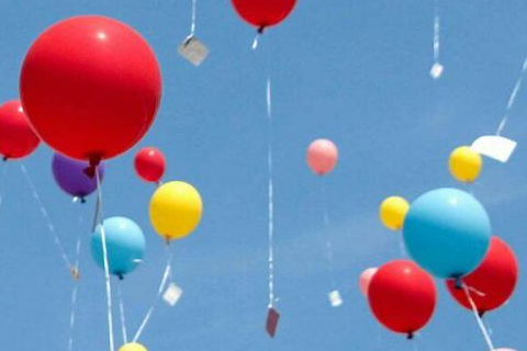 聪明的兔子作文(通用35篇) 聪明的<a href=/zwdq/124856.html target=_blank class=infotextkey>小兔</a>子《二年级》