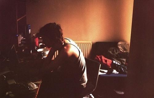 太平森林公园作文