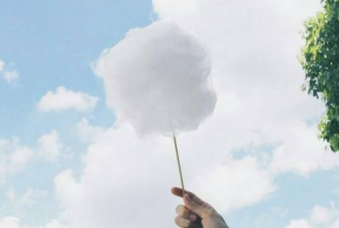 优秀小学生作文:军训感言