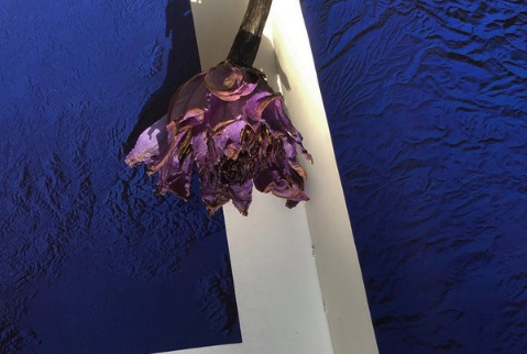 ai写作文 责任与担当议论文800字高中