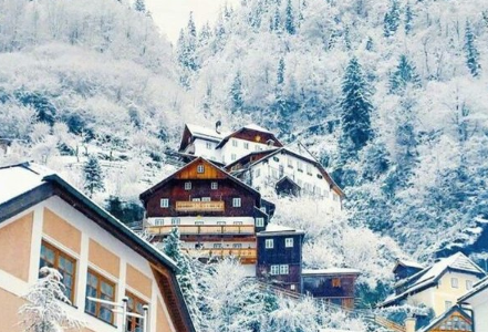 生命四年级作文300字