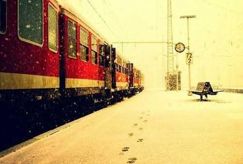 心愿作文：我的愿望是当老师