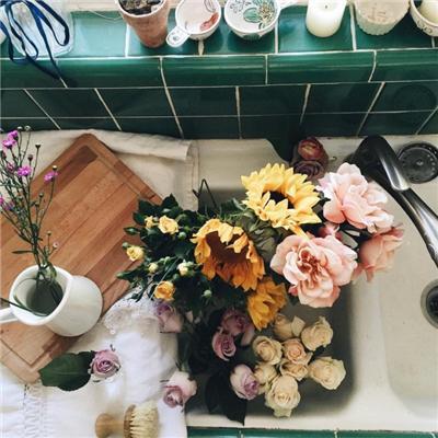 顽强的小草作文