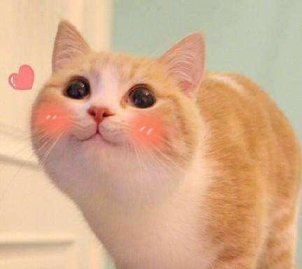 一堂有趣的作文课作文