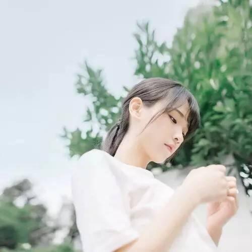 高中毛笔说明文