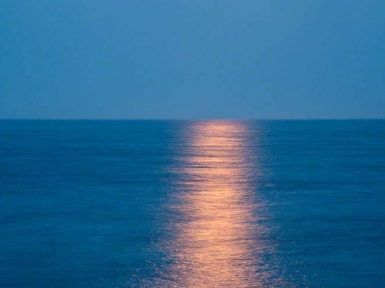 绿之舟作文750字