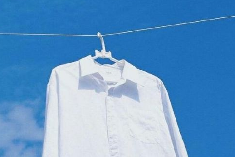 采购年货的作文