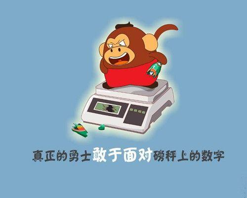 学校的槐树作文