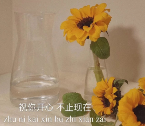 夕阳无限好的作文