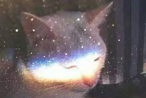乡村的夜晚作文
