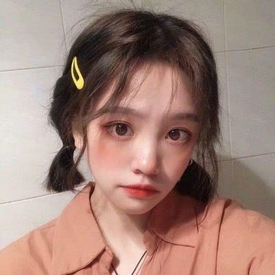 我是电脑作文