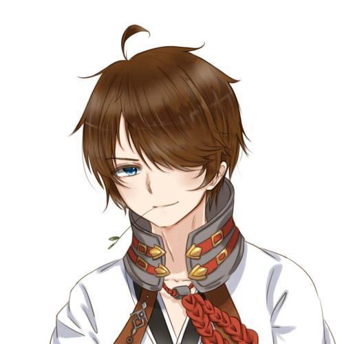 袋鼠作文