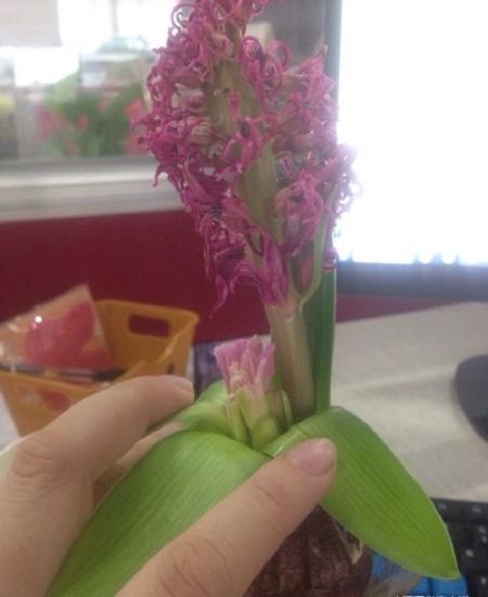 争做雷锋作文
