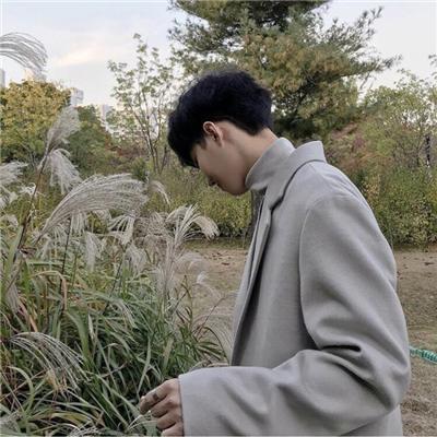 我心目中的大学优秀学生作文