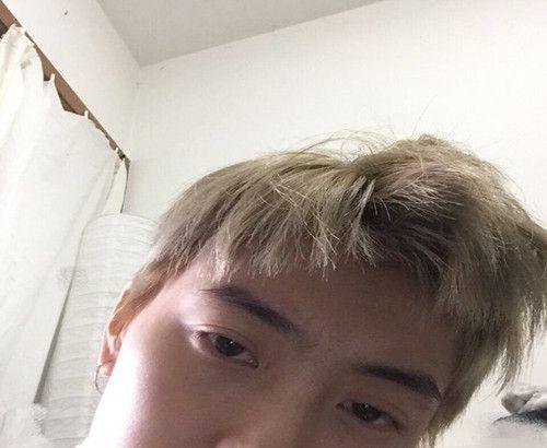 绿豆宝宝发芽记作文