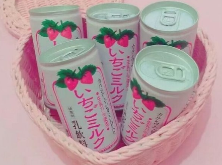 南湖作文