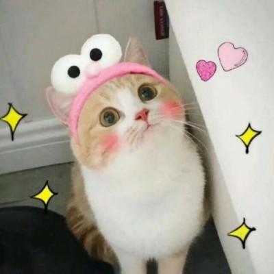 空调的自述作文