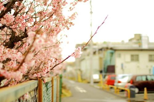 未来的房屋小学作文350字