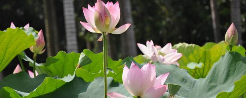 让我们都懂你作文