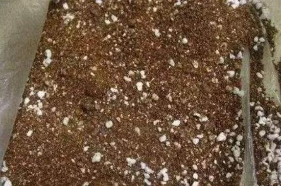 回望来时的路作文 高考满分作文精选范文40篇
