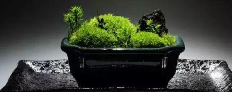 怦然心动的感觉作文(通用21篇)