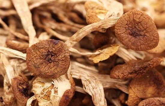 家风的优秀征文