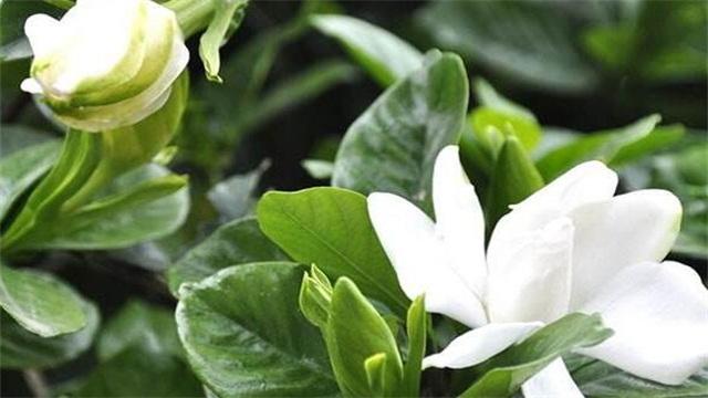 初二英语作文范文(十篇) 英语初二作文范文10篇