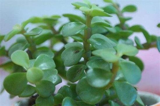 难忘的瞬间初一作文