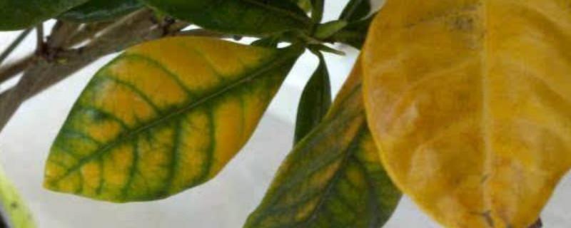 难忘的假期作文(通用31篇) 难忘的假期作文300字