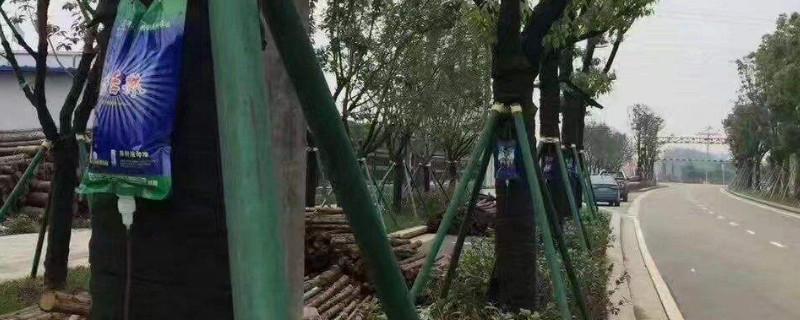 主动出击作文(通用37篇) 主动出击