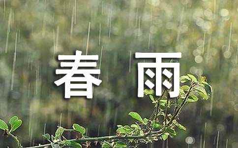 春雨优秀作文(精选15篇) 春雨作文500字左右