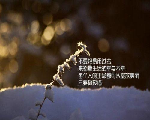 春天来了作文