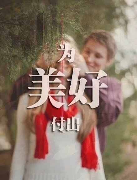 雨夜茉莉