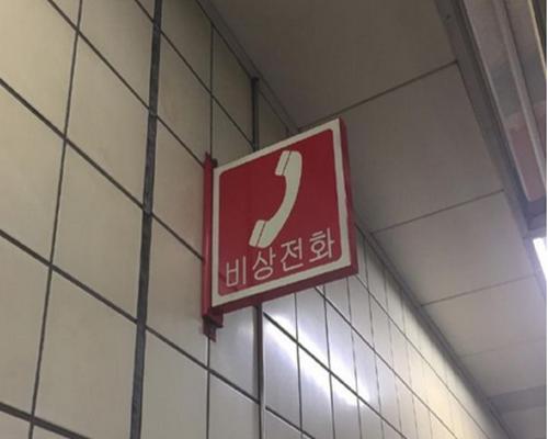 秋虫是醒着的梦