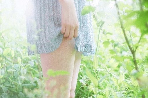 鳄鱼法则作文