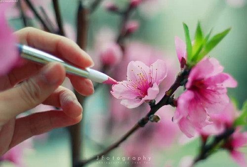 美丽的雨丝