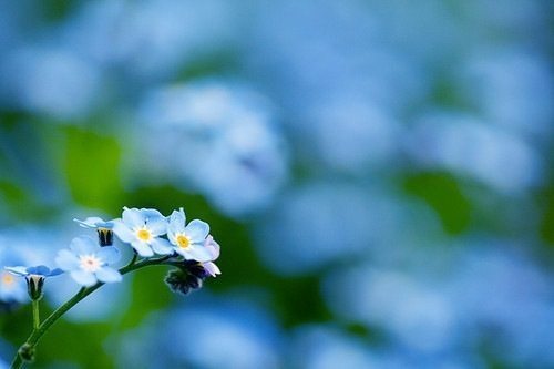 精选50句治愈系微信英文签名_Love