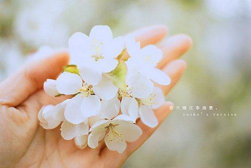 凄美孤寂伤感唯美古风微信签名2021 才变得如此悲哀。