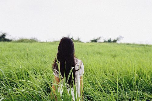 圆月挂在树梢上
