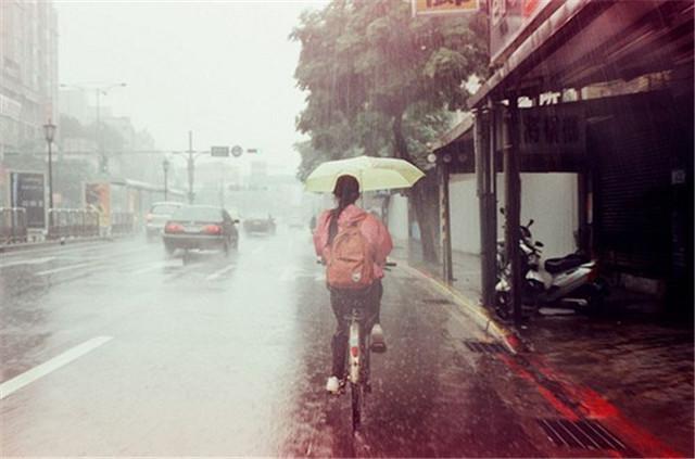 槐香思母