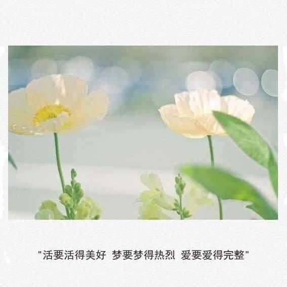 寒假有趣的作文600字