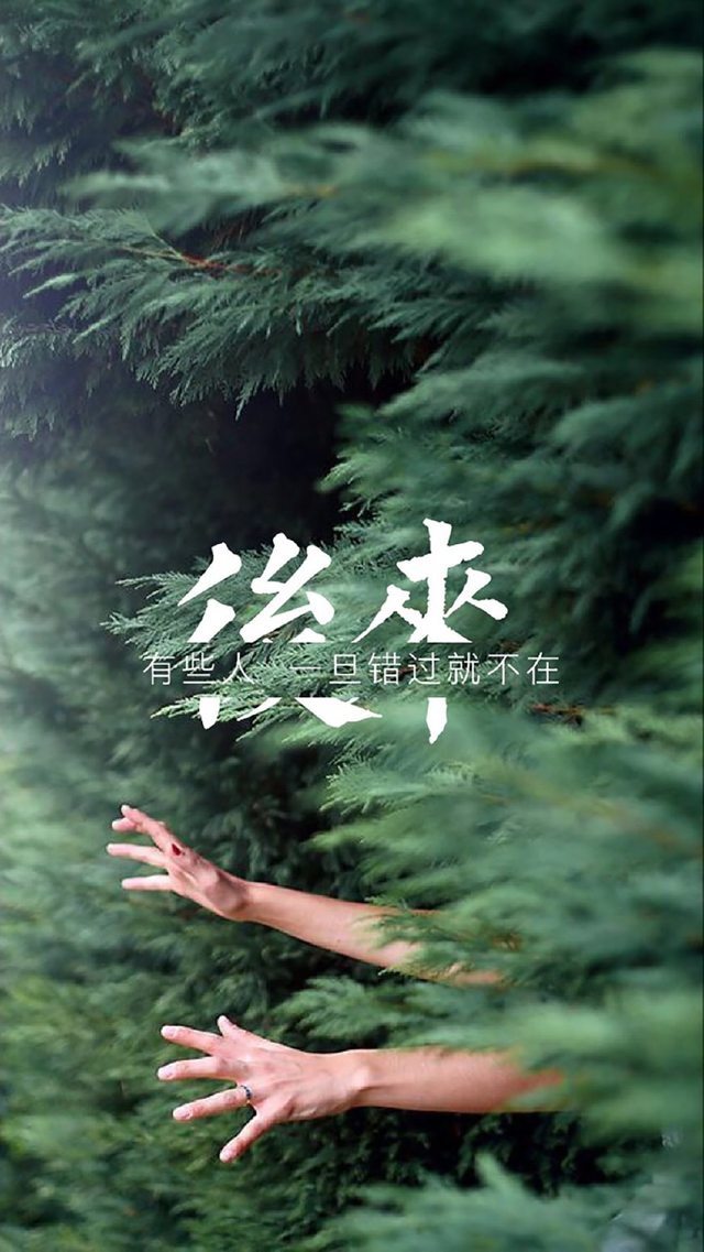 写景的作文300字